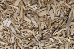 biomass boilers Moss Nook